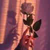 rosemoonrose