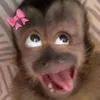 hgwdama