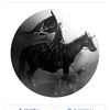 godwitch.011171