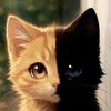 shahrul_kmn