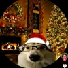 nathann_228