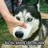 userg3sq20lwhz