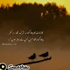 mayag949