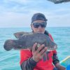 adihobimancing86