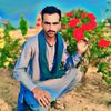 ashfaqali856