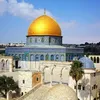 yaseenhabib7575