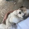 louie_eeee