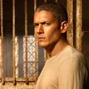 genius_scofield_