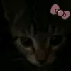 yu_na.bi17