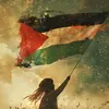 shakeelsadiq291