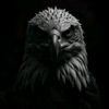 awais.ali7152
