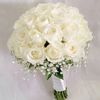 poppy_10zinniaflowers