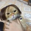 _yangwonlinh_