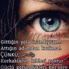 user5740133050603