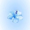 alisha.jsn1