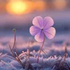 sontung_10121997