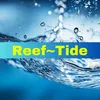 reef_tide