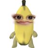 1dnian
