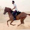 noormohammed4470