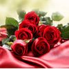 roserose5267