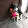 vanya_moshura64