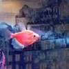rihardsegltis