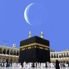 negma.nour