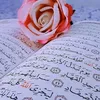 user8361748294406