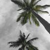 sluxa_1