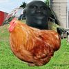 kenny_loves_chicken