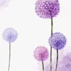ninfilla05