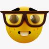noah_15342