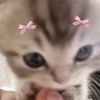 user002410014