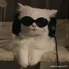 vuzzzkkkk