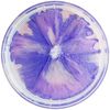 purple.dimahlaa