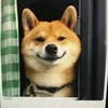 hsibddd