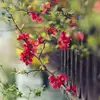 your_aijat