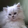 sofia_krynski