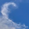 pisces4761376