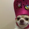 kanookervkekyarokai