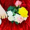 z_hraa98