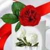 rema0979