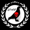 user80432547337060