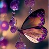 user5920215887775sara
