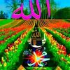 ummu.asma6