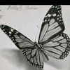 taliyaha1235