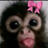 shutup_959