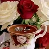 azizazouz76