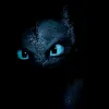 my.black.dragon