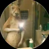 angel_villalbaa